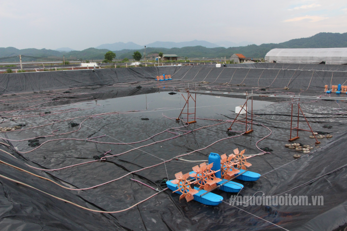 Bạt nhựa HDPE lót đáy ao nuôi tôm giúp giữ nước và ngăn chặn ô nhiễm
