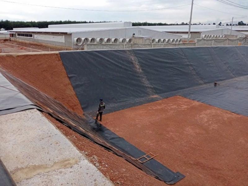 Màng chống thấm HDPE chất lượng cao được sử dụng làm lớp lót đáy cho các bãi rác hiện đại tại Việt Nam, đảm bảo ngăn chặn rò rỉ nước thải độc hại ra môi trường.