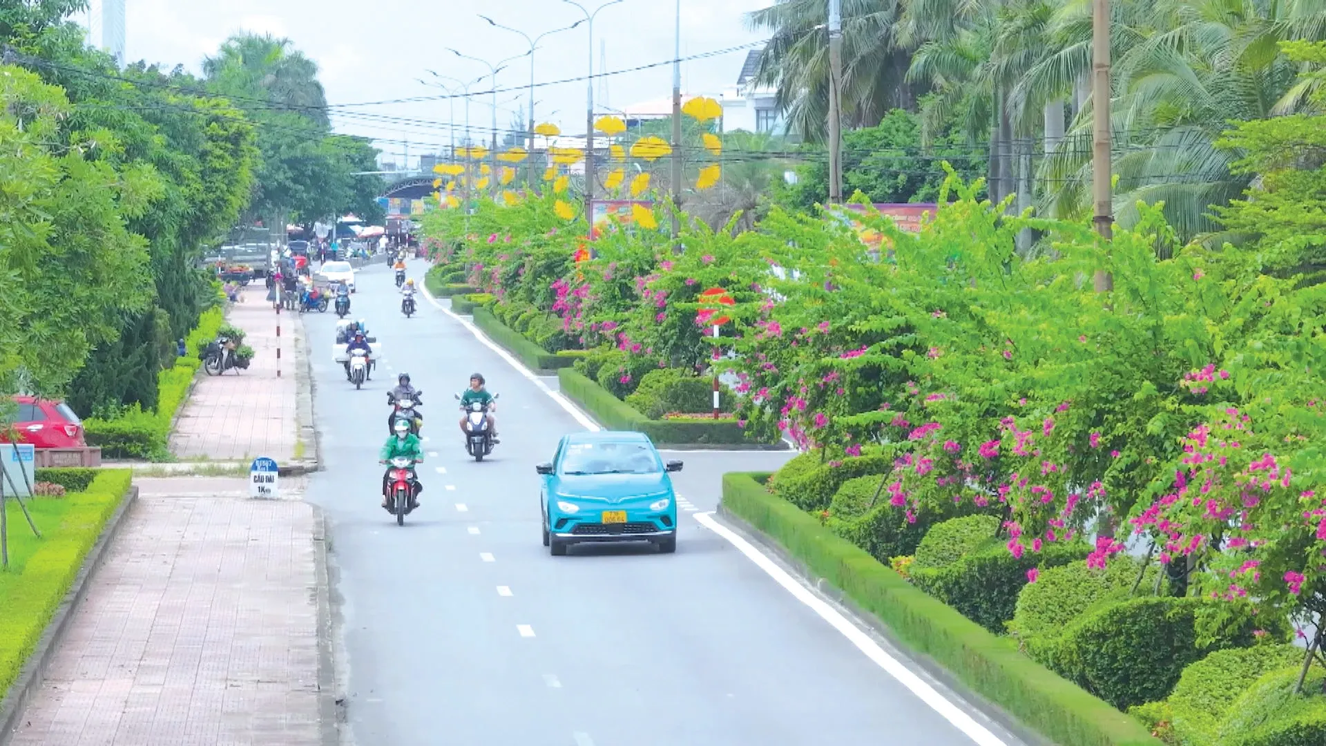Một ứng dụng thực tế của tấm nhựa thoát nước trong cảnh quan đô thị, cho thấy sự kết hợp hài hòa giữa công nghệ và thiên nhiên, tạo ra không gian sống xanh, bền vững và thẩm mỹ cho thành phố.