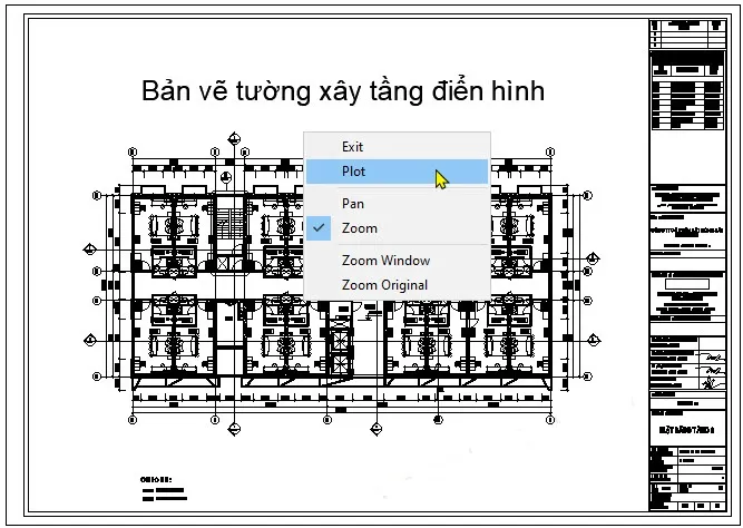 Xem trước bản in AutoCAD (Preview) để kiểm tra chất lượng và điều chỉnh trước khi in chính thức