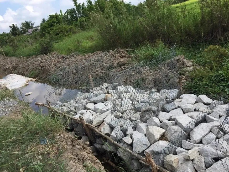 Hình ảnh so sánh các loại kè sông phổ biến như kè bê tông, kè rọ đá và kè sinh thái bảo vệ bờ sông