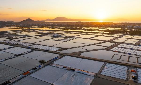 Vẻ đẹp bình minh trên ruộng muối Nha Trang tại Hòn Khói với hình ảnh người diêm dân đang cần mẫn lao động, phản chiếu dưới mặt nước lấp lánh.