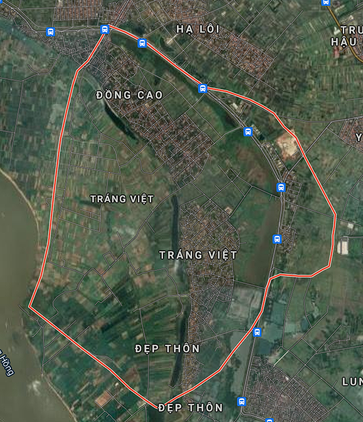 Khung cảnh con đê làng quê Việt Nam uốn lượn bên cánh đồng lúa, thể hiện vai trò quan trọng của đê điều trong đời sống