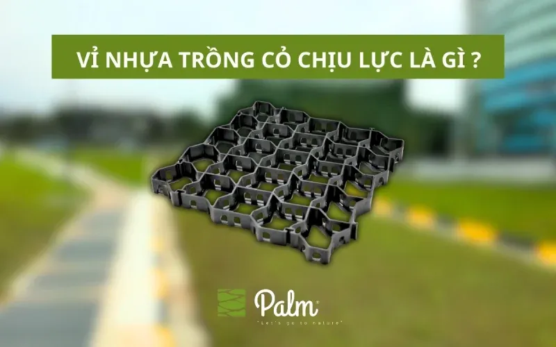 Cận cảnh cấu trúc ô địa kỹ thuật geocell đang được lấp đất và trồng cỏ để gia cố mái dốc