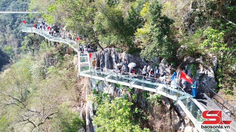 Cung đường đèo uốn lượn hiểm trở tại dốc Tà Xùa, một thách thức lớn đối với ngành địa kỹ thuật công trình Việt Nam.