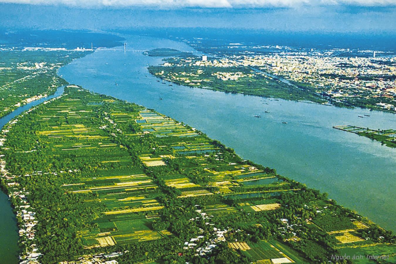 Sơ đồ mặt cắt 3D chi tiết thể hiện các giải pháp xử lý nền đất yếu cho đường cao tốc, bao gồm cọc xi măng đất, bấc thấm và lưới địa kỹ thuật