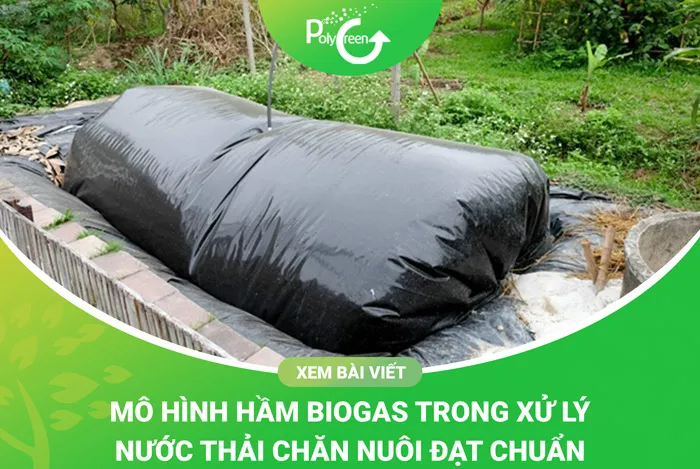 Sơ đồ minh họa chi tiết hầm biogas để làm gì, từ xử lý chất thải chăn nuôi đến tạo ra năng lượng sạch và phân bón hữu cơ.