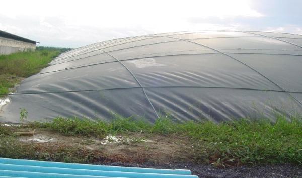 Hệ thống thi công hầm biogas bằng màng HDPE giá rẻ đã hoàn thiện tại một trang trại chăn nuôi ở Việt Nam