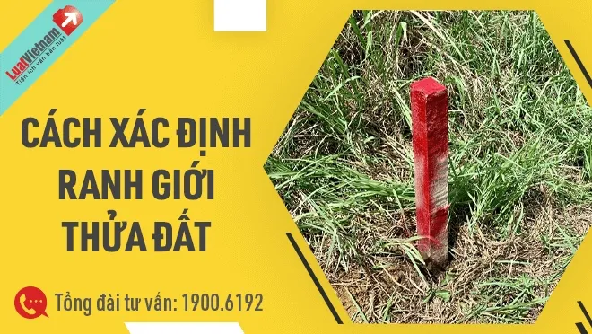 Hệ thống mương và bờ bao được xây dựng kiên cố, một bước quan trọng để biết ruộng muối làm như thế nào