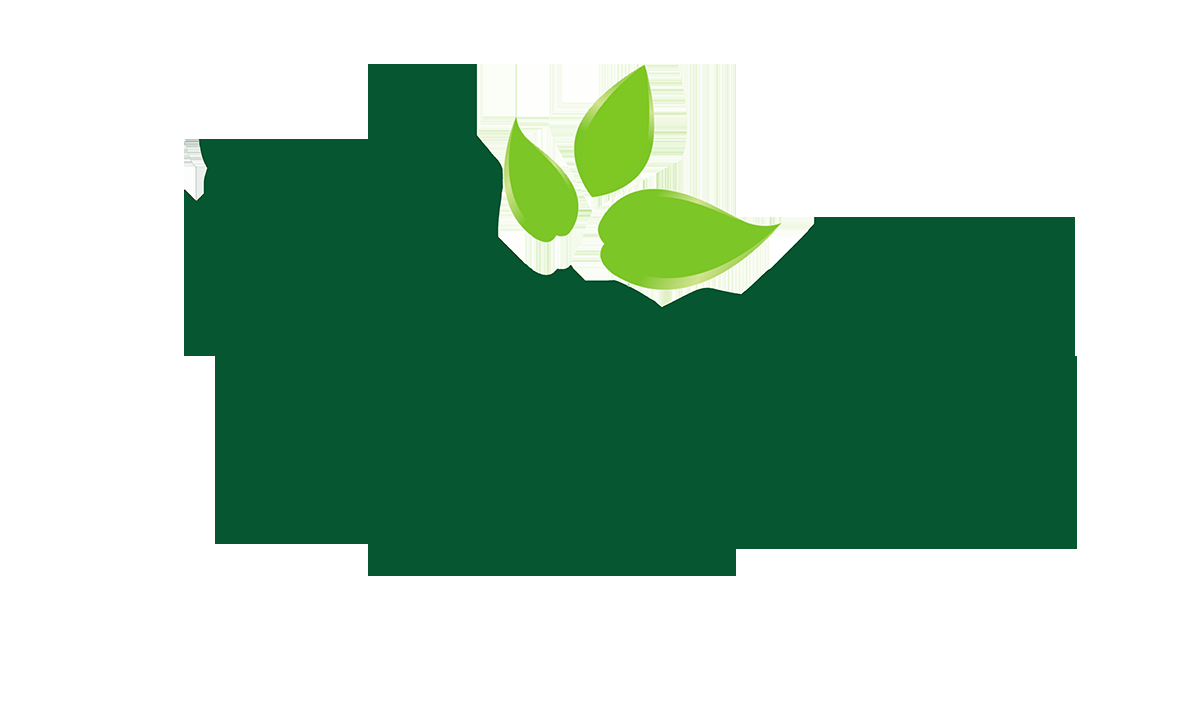 Hướng dẫn các bước lắp đặt túi trồng cây trên tường một cách chi tiết và đúng kỹ thuật