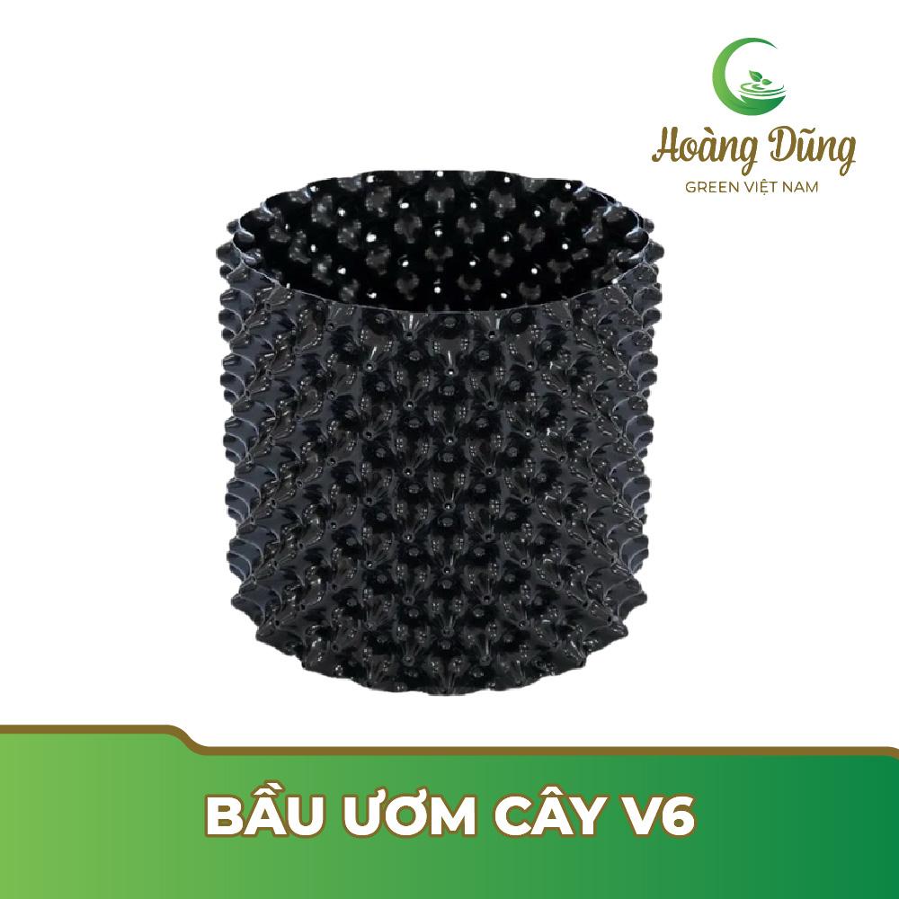 Minh họa lợi ích của vỉ nhựa thoát nước trồng cây: cây xanh tốt, đất tơi xốp, rễ khỏe mạnh, không bị úng nước