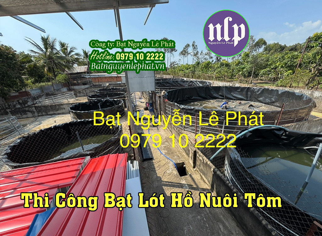 Mô hình ao nuôi tôm công nghệ cao được lót bạt HDPE màu đen một cách chuyên nghiệp, hệ thống sục khí hoạt động mạnh mẽ.