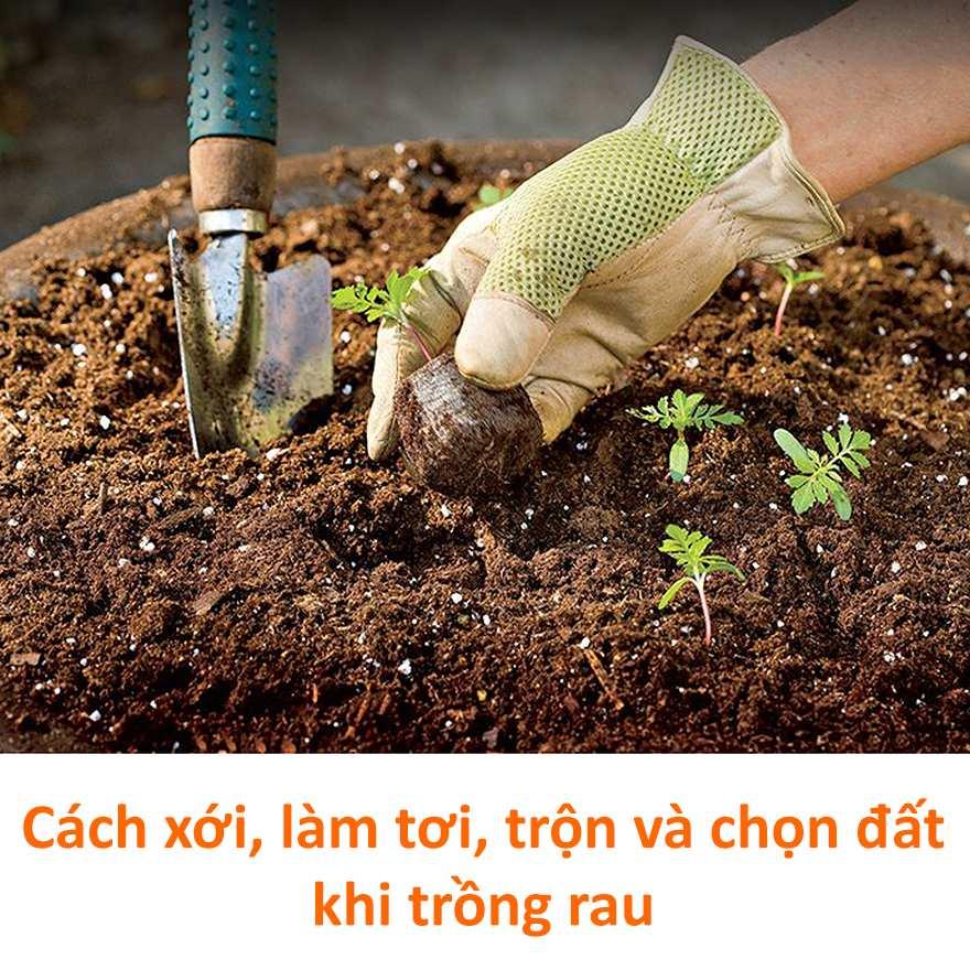 Hình ảnh một người làm vườn đang dùng xẻng rải đều trấu hun lên bề mặt luống đất để cải tạo đất vườn, chuẩn bị cho vụ mùa mới.