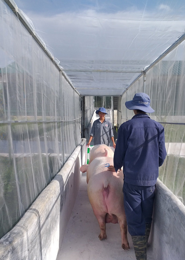 Ảnh chụp cận cảnh một nhãn thông tin sản phẩm rõ ràng, sắc nét dán trên lớp bao bì của cuộn màng chống thấm HDPE