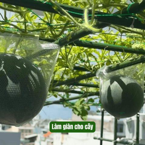 Một người đang cẩn thận đổ hỗn hợp đất trồng tơi xốp vào một chiếc túi trồng rau treo tường màu xám, chuẩn bị cho việc gieo trồng.