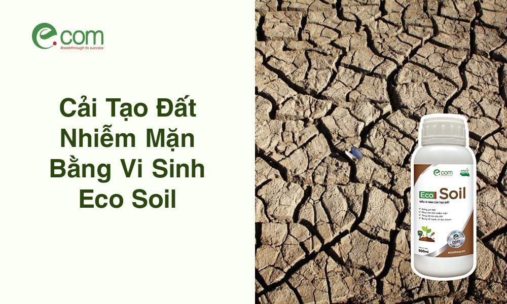 Phương pháp rửa mặn để cải tạo đất mặn, giảm nồng độ muối trong đất bằng nước ngọt