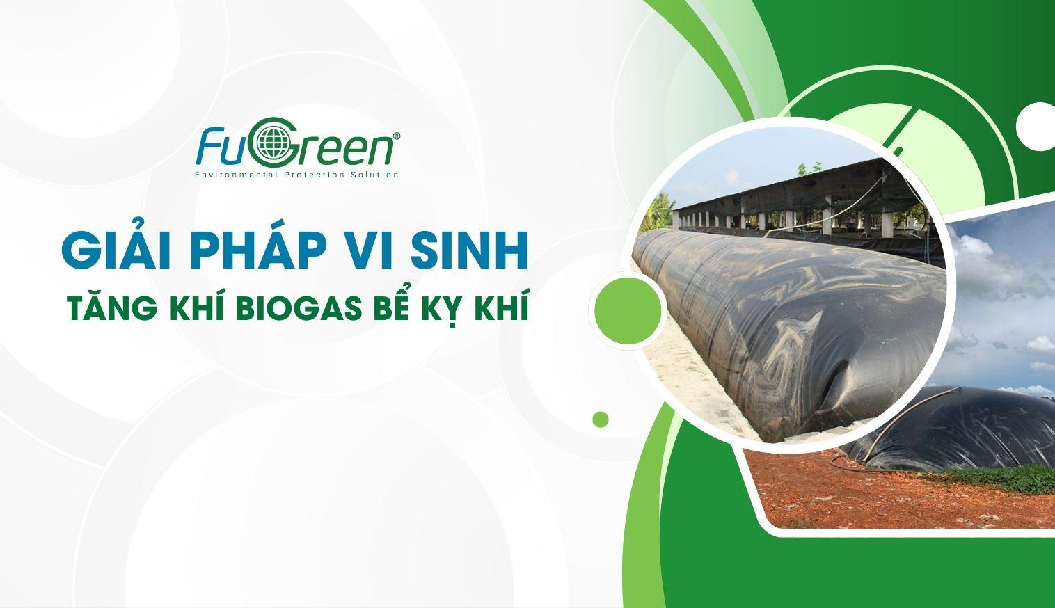 Sơ đồ chi tiết mô tả nguyên lý hoạt động của một hệ thống khí sinh học Biogas từ đầu vào đến đầu ra năng lượng