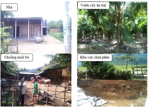 Một bảng so sánh trực quan đặc tính ô nhiễm của nước thải từ chăn nuôi lợn, gia cầm và trâu bò, làm nổi bật sự khác biệt về BOD, COD, Nito.