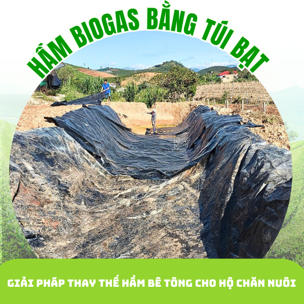 So sánh cấu tạo và ưu nhược điểm của hầm biogas HDPE và hầm biogas truyền thống