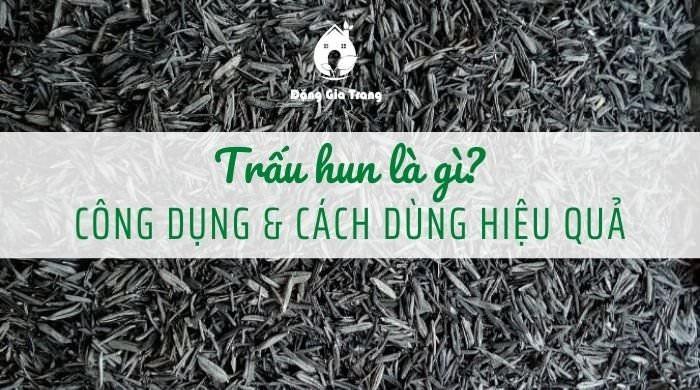 Hình ảnh so sánh trực quan giữa một đống trấu tươi màu vàng và một đống trấu hun màu đen tuyền dùng trong cải tạo đất