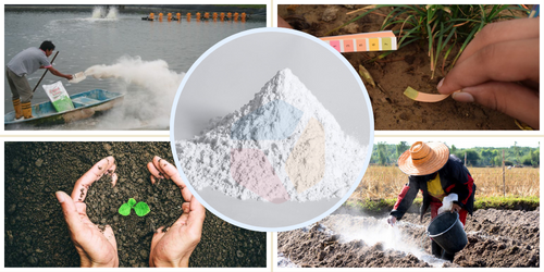 Vôi được sử dụng để khử chua và cải thiện cấu trúc đất phèn, tạo điều kiện thuận lợi cho canh tác.