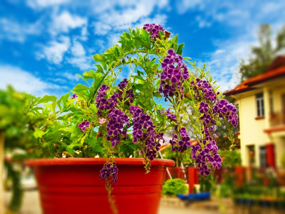 Cận cảnh chất liệu vải địa kỹ thuật của túi trồng cây, cho thấy độ bền và cấu trúc cho phép thoát nước tốt