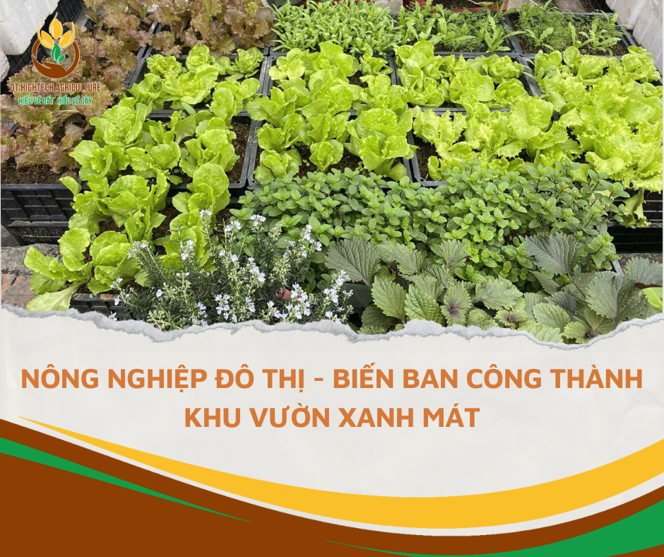 Sử dụng túi vải trồng cây để tạo vườn rau sạch trên ban công, mang lại không gian xanh mát và thực phẩm an toàn.