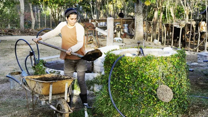 Hình ảnh một gia đình ở nông thôn Việt Nam đang sử dụng bếp gas nấu ăn bằng khí biogas dẫn từ hầm ủ gần nhà