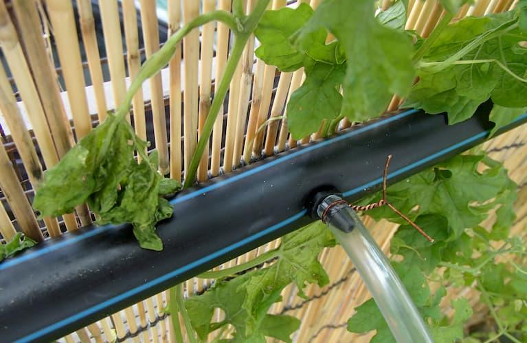 ung dung mang hdpe trong du an thuy dien song tranh 2