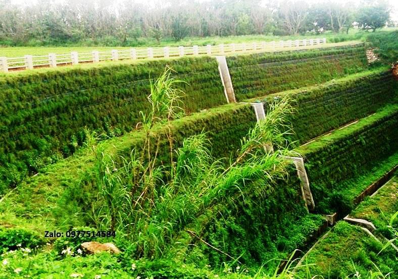 Hình ảnh thi công túi địa kỹ thuật geobag để xây dựng kè mềm chống xói lở bờ biển tại Việt Nam