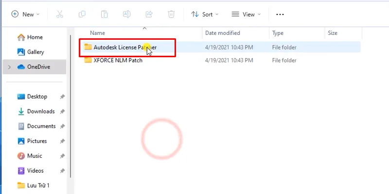 Vào thư mục crack và chạy file kích hoạt