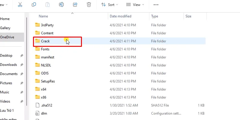 Vào thư mục kích hoạt (crack)
